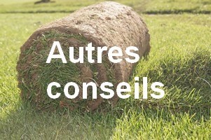 Conseils divers