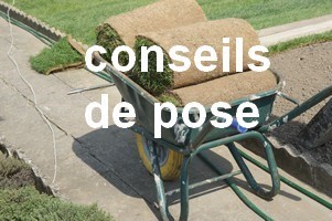 Conseils pour la pose du gazon en rouleau